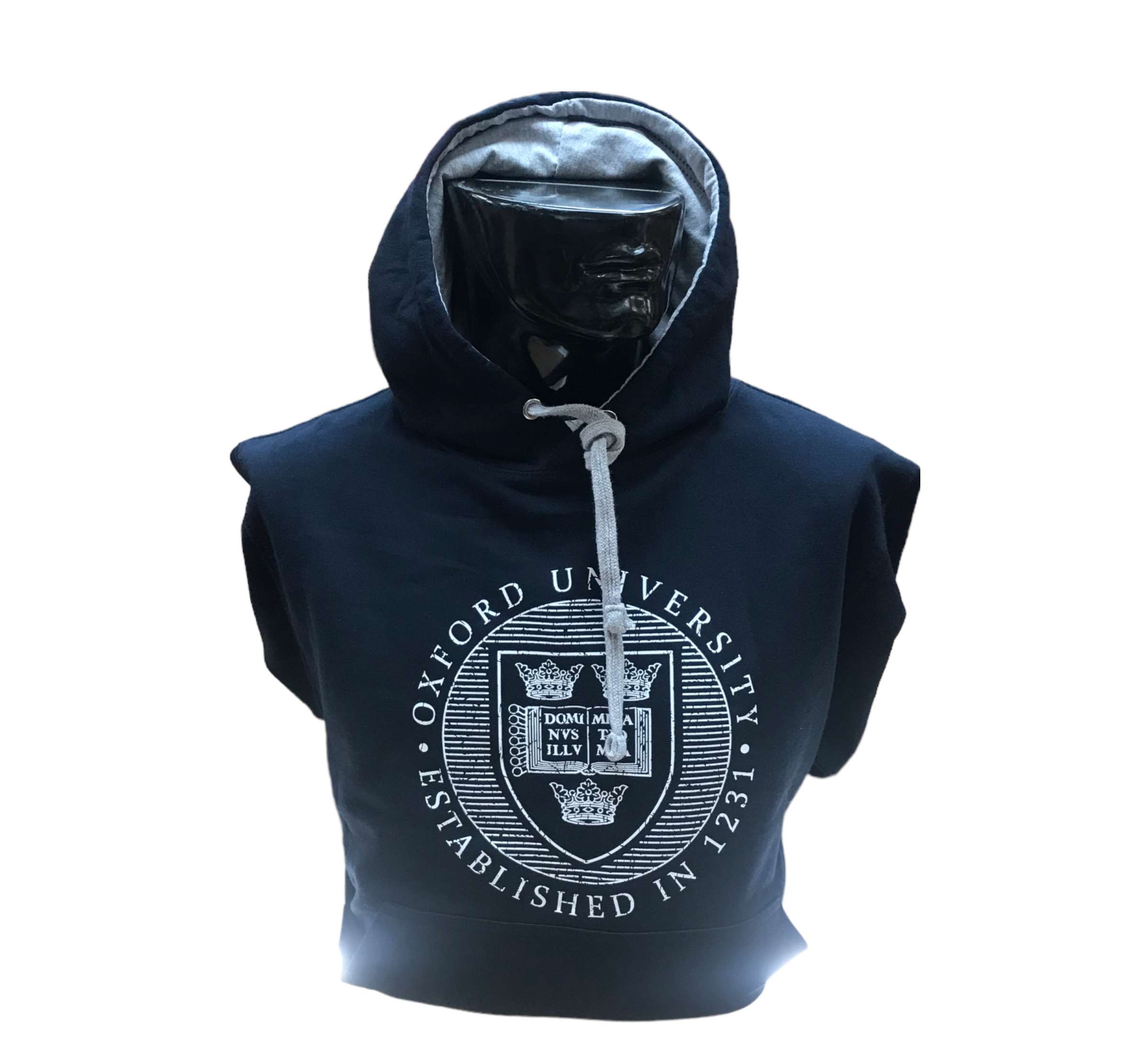 Oxford University Distressed Hoody The Varsity Shop